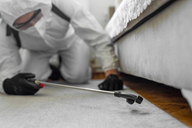 Professional Termite Control technician working in Phoenix, NY