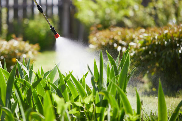 24/7 Emergency Termite Control experts in Phoenix, NY